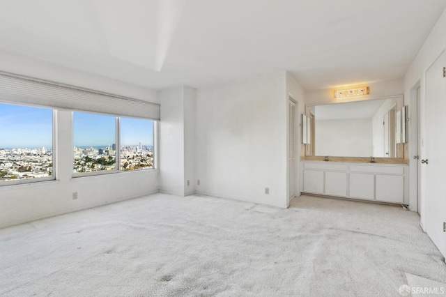 unfurnished bedroom with sink and light colored carpet