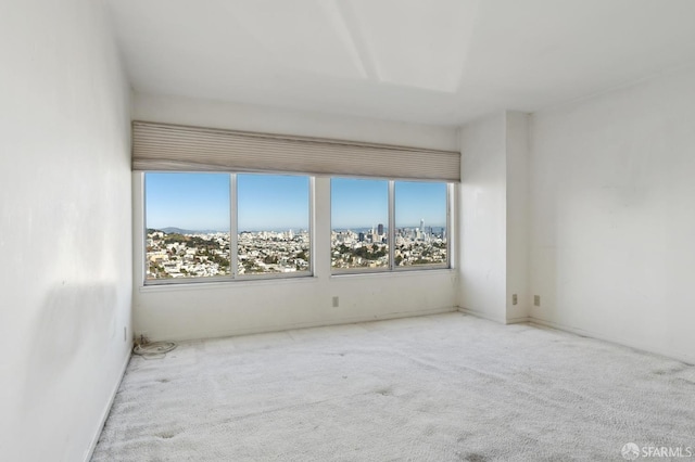 carpeted empty room with plenty of natural light