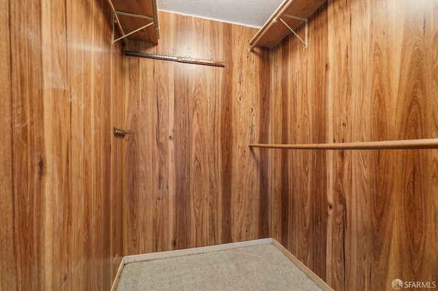 walk in closet featuring carpet flooring and elevator