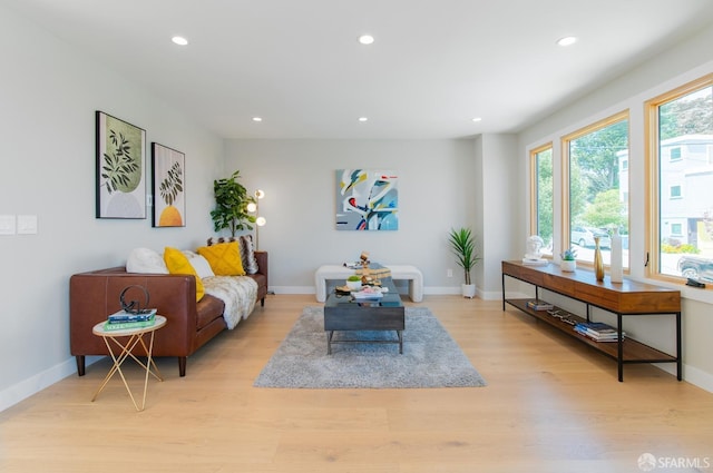 living room featuring light wood-type flooring