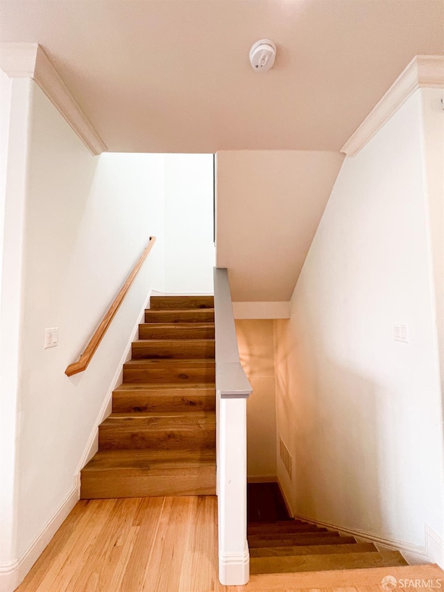 79 Karen Ct, San Francisco, CA 94134 - photo 90