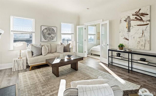 living room with wood-type flooring, french doors, and a wealth of natural light