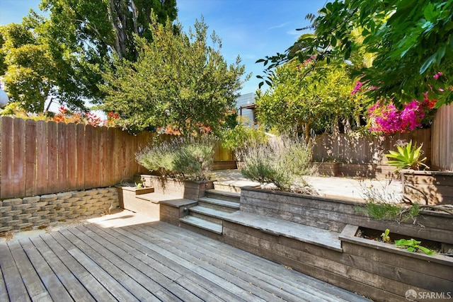 1258 York St, San Francisco, CA 94110 - wooden deck featuring a fenced backyard
