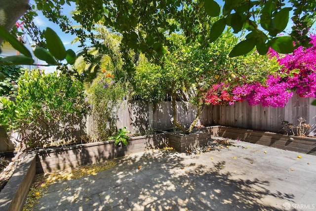 1258 York St, San Francisco, CA 94110 - fenced backyard with a patio area