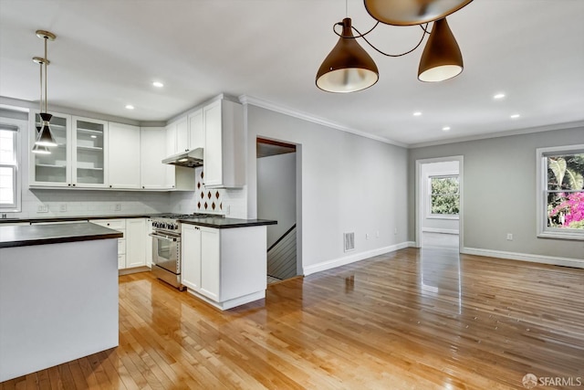 1258 York St, San Francisco, CA 94110 - kitchen featuring high end stove, dark countertops, under cabinet range hood, tasteful backsplash, and crown molding