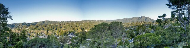 120 E Manor Dr, Mill Valley, CA 94941