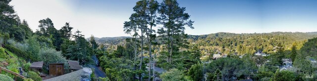 120 E Manor Dr, Mill Valley, CA 94941
