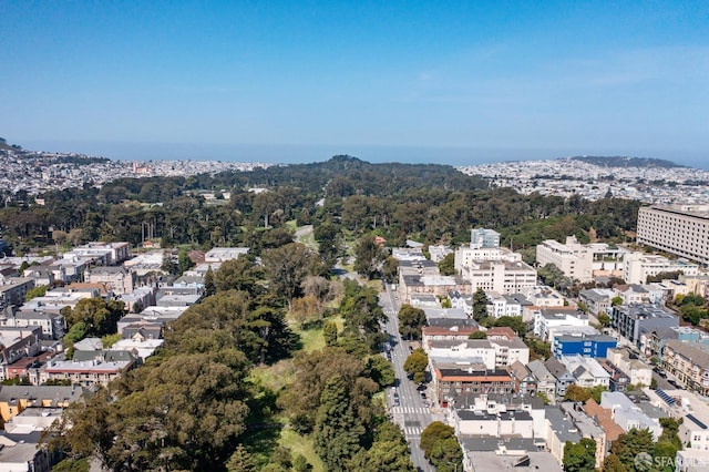 1980-1982 Fell St, San Francisco, CA 94117 - aerial view of property and surrounding area