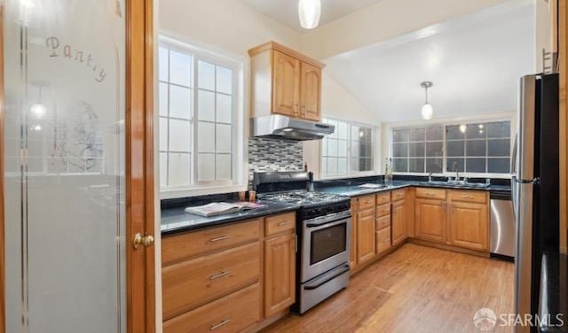 kitchen with pendant lighting, light hardwood / wood-style flooring, stainless steel appliances, tasteful backsplash, and vaulted ceiling