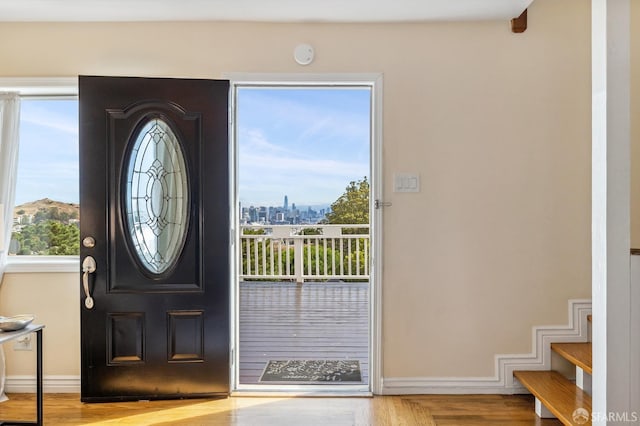 foyer entrance featuring plenty of natural light and hardwood / wood-style floors