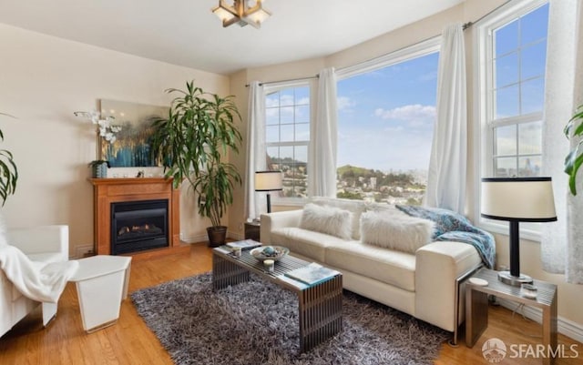 living room featuring hardwood / wood-style floors