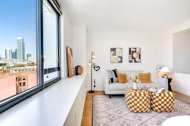 living room featuring light hardwood / wood-style flooring