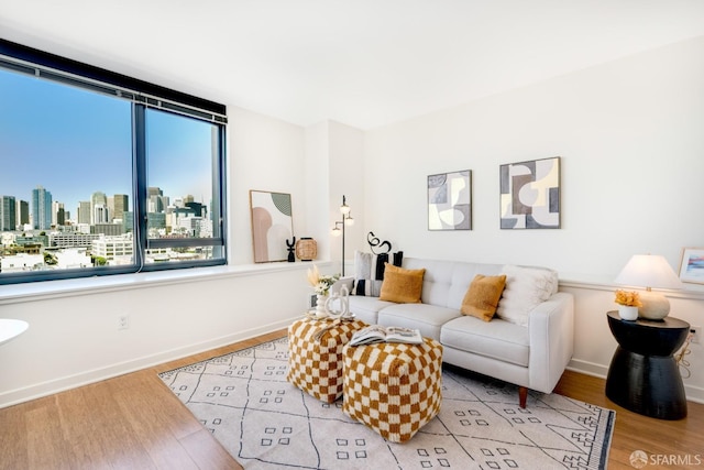 living room featuring light hardwood / wood-style flooring