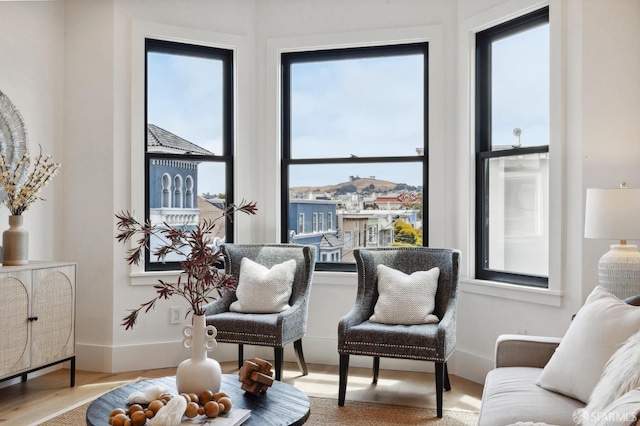 sitting room with light hardwood / wood-style floors