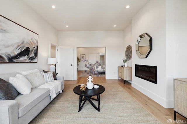 living room featuring light hardwood / wood-style floors