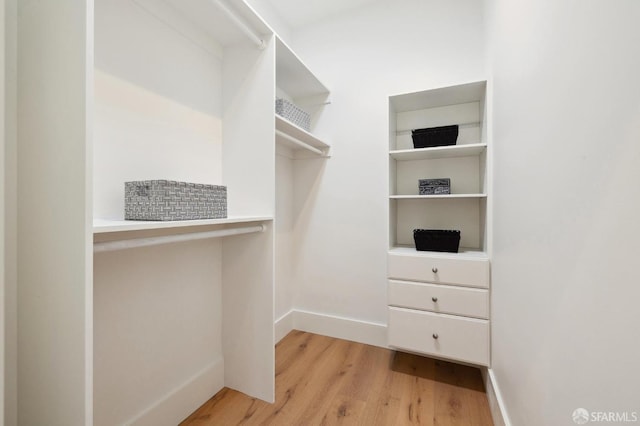 spacious closet featuring light hardwood / wood-style floors