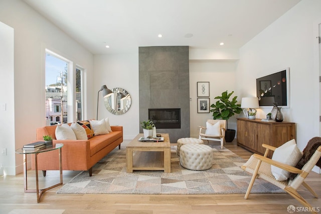 living room featuring a fireplace and light wood-type flooring