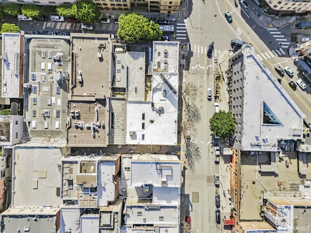 bird's eye view