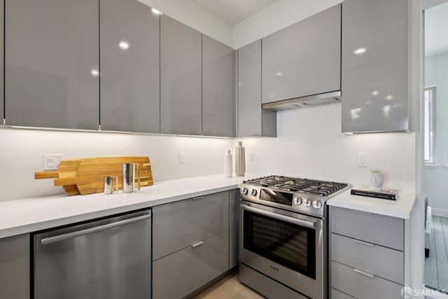 kitchen with gray cabinets, stainless steel appliances, modern cabinets, and under cabinet range hood