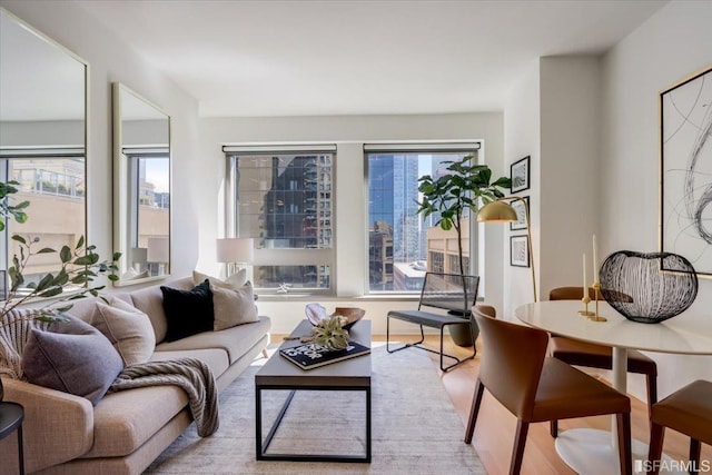 living area with a wealth of natural light