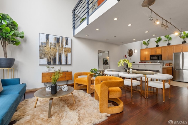 living room featuring wood-type flooring and a high ceiling