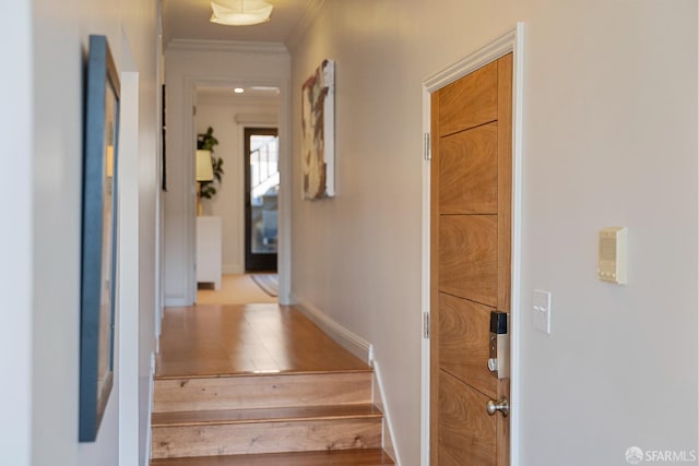 987 De Haro St Unit 1, San Francisco, CA 94107 - hallway featuring ornamental molding, wood finished floors, and baseboards