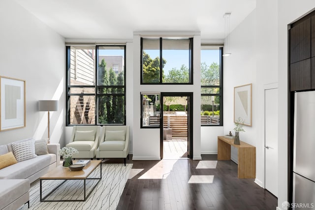 1788 Clay St Unit 103, San Francisco, CA 94109 - living room with dark wood-style flooring, expansive windows, and baseboards