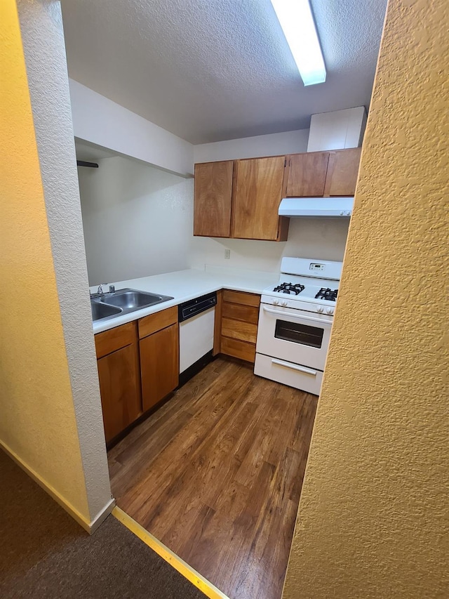 kitchen featuring under cabinet range hood, white appliances, a sink, light countertops, and brown cabinetry