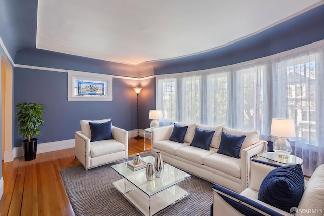 47 Brunswick St, San Francisco, CA 94112 - living area with baseboards, a wealth of natural light, and wood finished floors