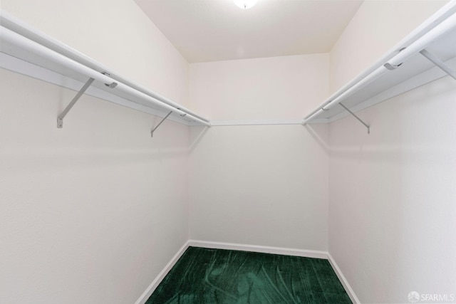 47 Brunswick St, San Francisco, CA 94112 - spacious closet with carpet flooring