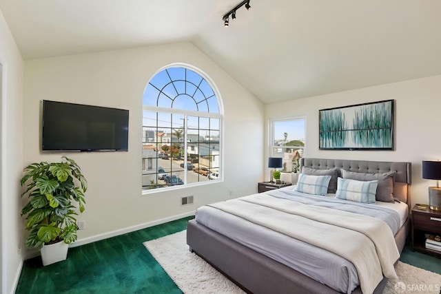 47 Brunswick St, San Francisco, CA 94112 - bedroom with track lighting, dark colored carpet, baseboards, lofted ceiling, and visible vents