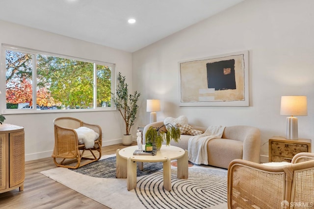 living area featuring light hardwood / wood-style flooring and lofted ceiling