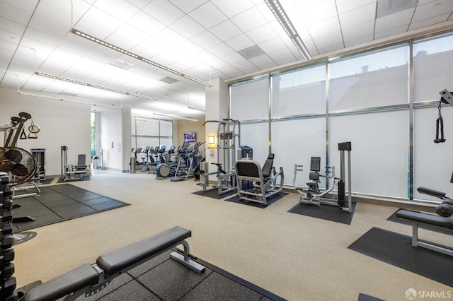 229 Brannan St Unit 11J, San Francisco, CA 94107 - workout area with carpet flooring