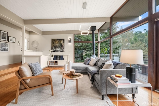 living area with floor to ceiling windows, wood finished floors, and a healthy amount of sunlight