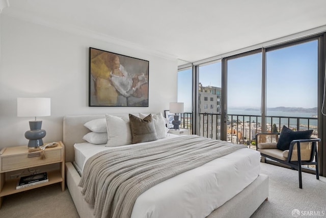 999 Green St Unit 1403, San Francisco, CA 94133 - carpeted bedroom featuring a water view, access to exterior, and crown molding