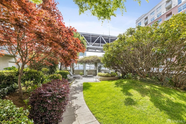 201 Harrison St Unit 302, San Francisco, CA 94105 - view of grassy yard featuring glass enclosure