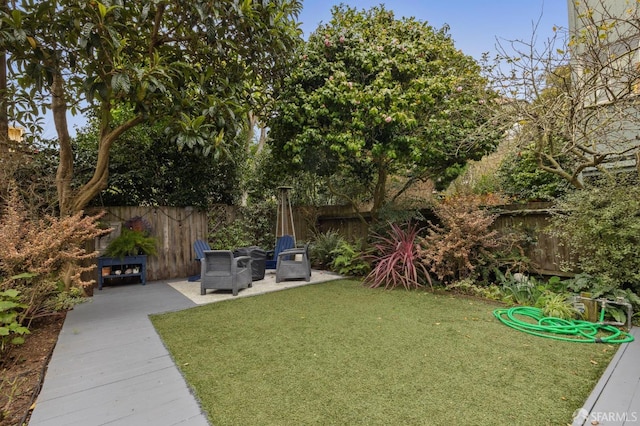 view of yard with a patio and a fenced backyard