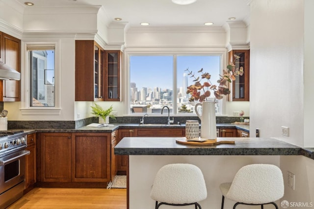 kitchen with stainless steel stove, a sink, light wood-style floors, and a breakfast bar area