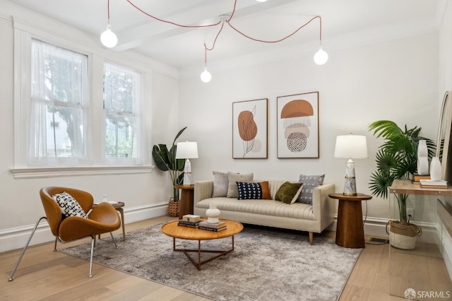 835 Diamond St, San Francisco, CA 94114 - living room with wood finished floors, beamed ceiling, and baseboards