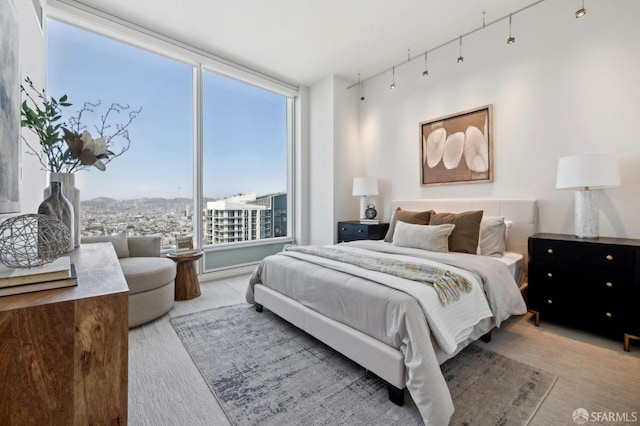 401 Harrison St Unit 45C, San Francisco, CA 94105 - view of carpeted bedroom