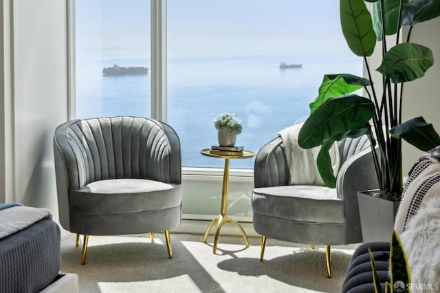 401 Harrison St Unit 45C, San Francisco, CA 94105 - living area featuring a water view