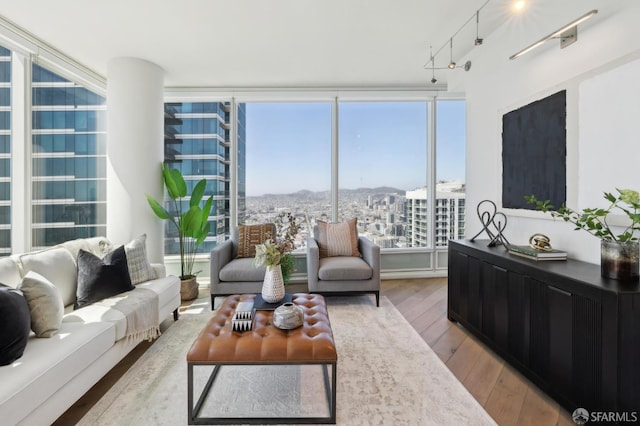 401 Harrison St Unit 45C, San Francisco, CA 94105 - living room featuring hardwood / wood-style floors, a view of city, and a mountain view