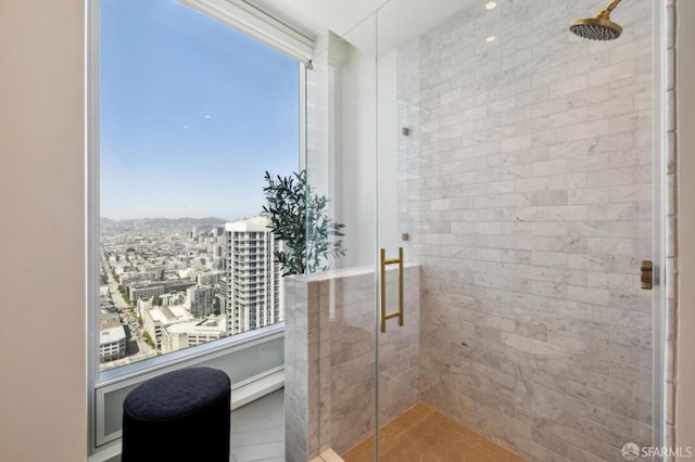 401 Harrison St Unit 45C, San Francisco, CA 94105 - full bath featuring a stall shower and a view of city