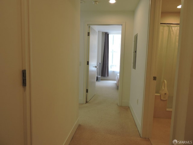 hallway with light colored carpet and electric panel