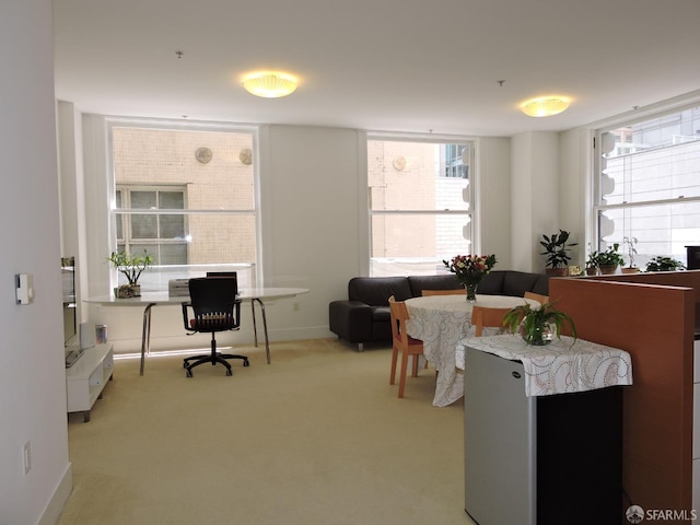 carpeted office with a healthy amount of sunlight