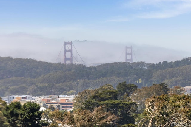 40 Hillway Ave, San Francisco, CA 94117 - photo 36