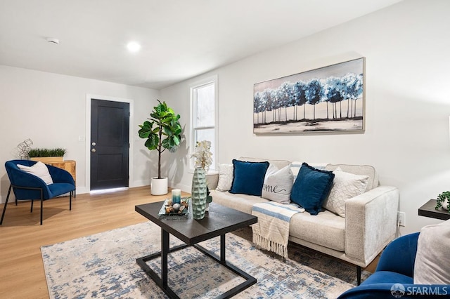 living room featuring hardwood / wood-style flooring