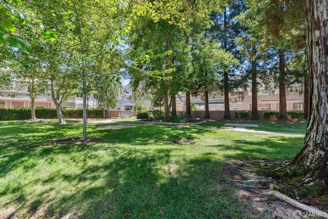 4628 Melody Dr Unit D, Concord, CA 94521 - photo 30