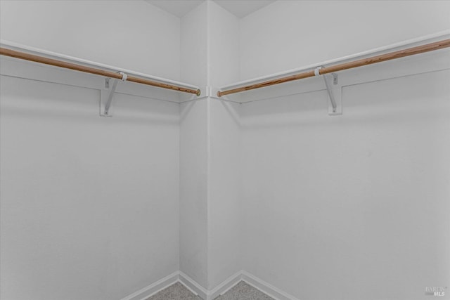 spacious closet featuring carpet flooring