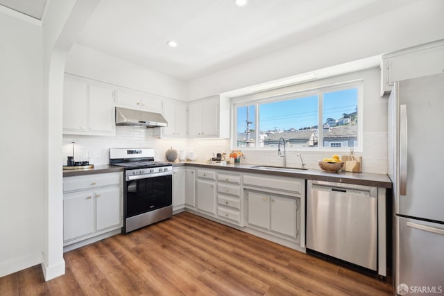 kitchen with under cabinet range hood, a sink, dark countertops, appliances with stainless steel finishes, and decorative backsplash